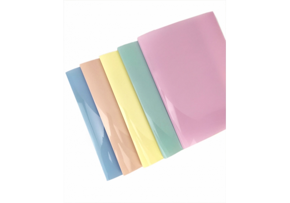 Папка пластиковая глянцевая А4 на 2 кольцах 25 мм с логотипом