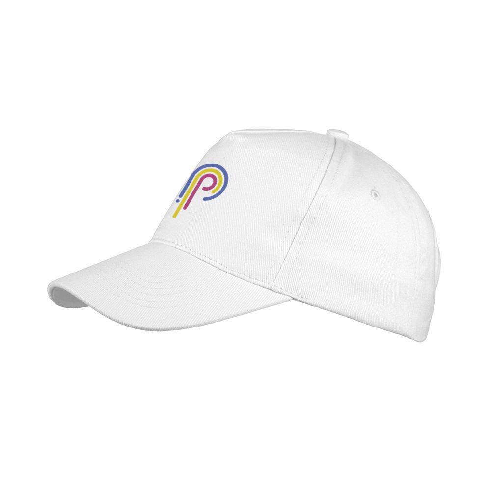 Кепка с логотипом с пятью клиньями Floyd Pulse