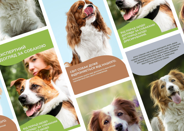 Оформление страницы в Instagram