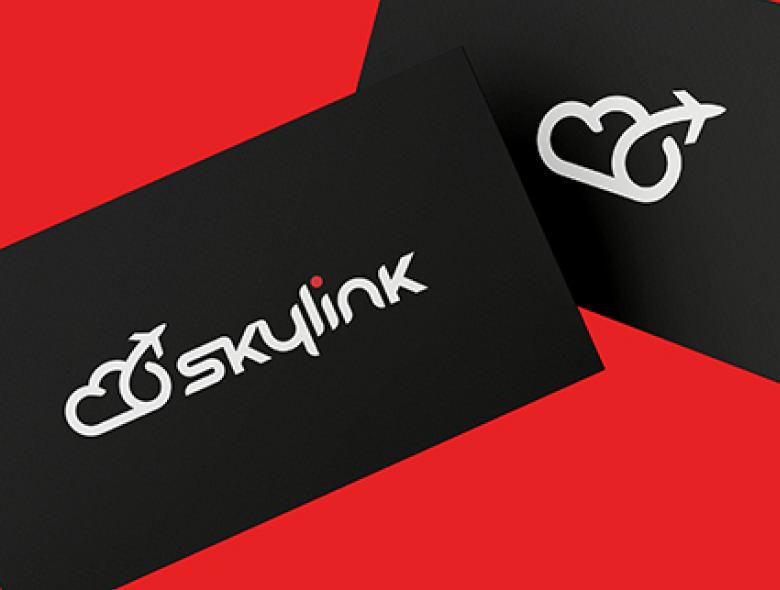 Концепт логотипа Sky link