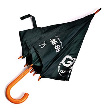 зонт 04 зображення 1